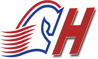 長沙市飛宏電腦公司企業LOGO 長沙市飛宏電腦公司企業LOGO